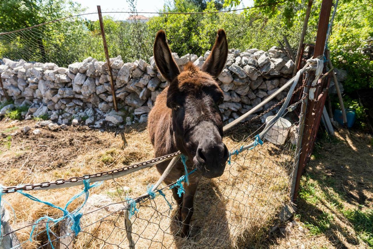 Authentic Camping Dalmatia Pirovac Exterior foto