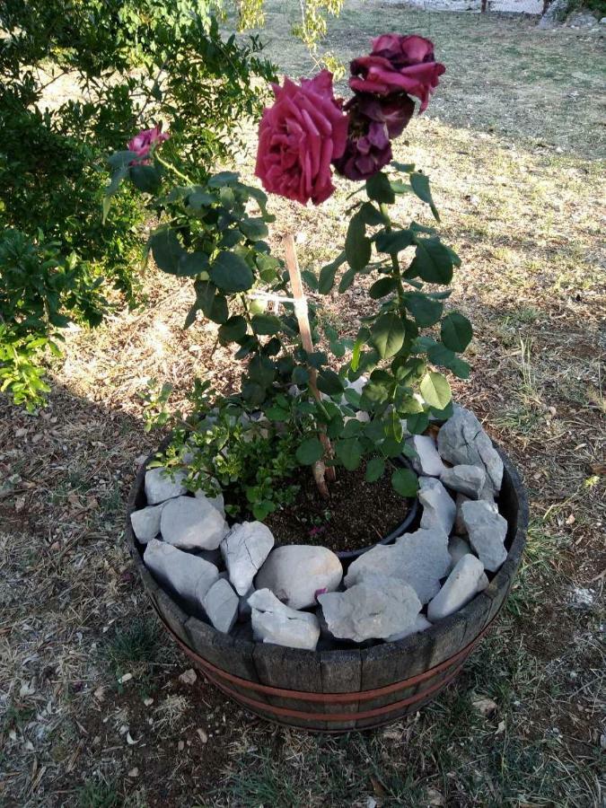 Authentic Camping Dalmatia Pirovac Exterior foto
